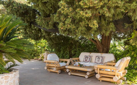Villa i Mori 4: Furniture, Wood, Outdoor Furniture, Flowerpot, Chair, Garden, Shade, Houseplant, Landscaping, Design