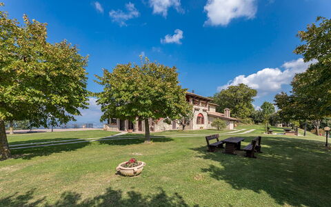 Tenuta Montiepoli 12+3: Grass, Landscape, Public Space, Plain, Estate, Lawn, Shade, Hacienda, Garden, Park