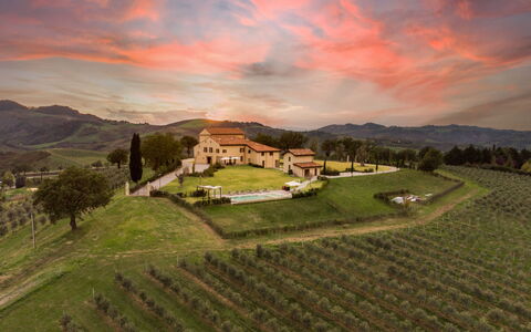 Santa Maria Maddalena 10: Wine, Agriculture, Bottle, Food, Barware, Glass Bottle