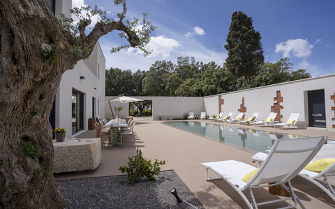 Villa Maria Paradiso 10: Home, Composite Material, Estate, Shade, Concrete, Landscaping, Swimming Pool, Courtyard, Garden, Design