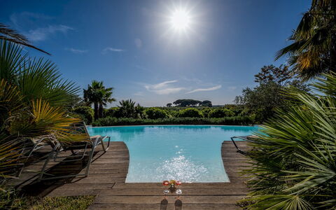 Villa Pineta 6: Blue, Swimming Pool, Resort, Eco Hotel, Tropics, Garden, Landscaping, Resort Town