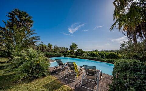 Villa Pineta 6: Blue, Green, Tree, Swimming Pool, Vegetation, Resort, Shrub, Eco Hotel, Garden