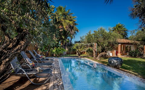 Villa Antura 4: Swimming Pool, Blue, Tree, Resort, Eco Hotel, Outdoor Furniture, Shade, Estate, Sunlounger, Hacienda