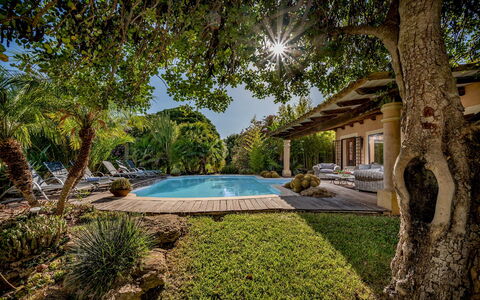 Villa Ashram 6: Swimming Pool, Tree, Resort, Shade, Outdoor Furniture, Eco Hotel, Estate, Garden, Landscaping