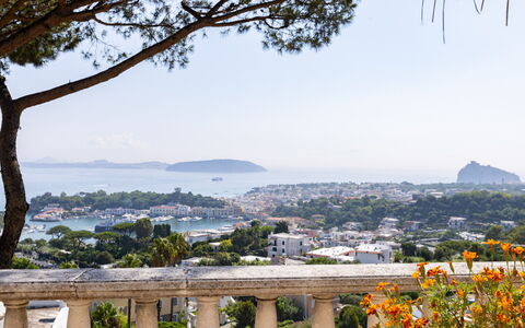 Villa Carina 12: Tree, Landscape, Coast, Sea, Coastal And Oceanic Landforms, Ocean, Hill Station, Bay, Resort Town