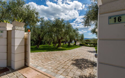 Villa Mandara 8+2: Shrub, Garden, Shade, Landscaping, Walkway, Park, Backyard