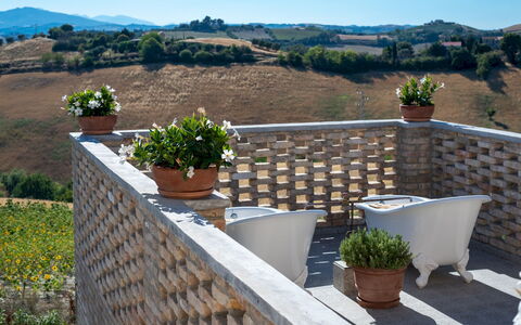 La Buona Maniera 10: Wall, Flowerpot, Outdoor Furniture, Houseplant, Balcony, Chair, Outdoor Table, Shade, Yard, Backyard
