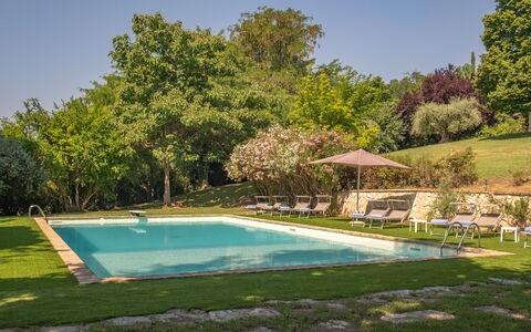 Dolce Collina 10: Tree, Swimming Pool, Summer, Shrub, Garden, Leisure, Shade, Estate, Lawn, Landscaping