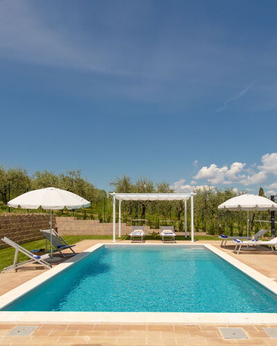 La Collina degli Ulivi 8+2: Swimming Pool, Outdoor Furniture, Resort, Sunlounger, Garden, Eco Hotel, Thermae, Landscaping, Estate, Hacienda