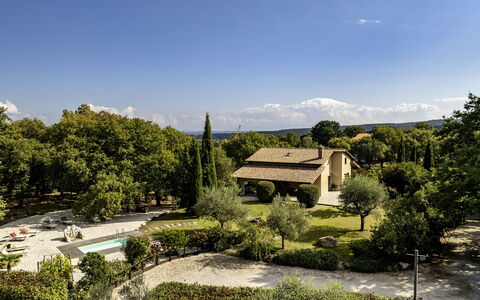 Villa Sparta 8+2: Tree, Leaf, Vegetation, Shrub, House, Landscape, Home, Land Lot, Garden