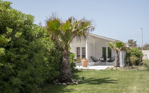Baia L'Aura 8: Shrub, House, Home, Cottage, Garden, Shade, Landscaping, Woody Plant, Estate