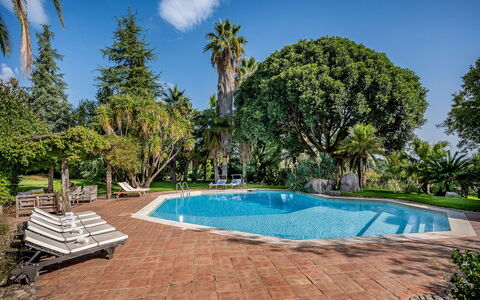 Linera 10: Swimming Pool, Tree, Resort, Shade, Eco Hotel, Garden, Landscaping, Estate, Hacienda