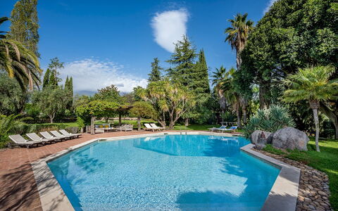 Linera 10: Swimming Pool, Tree, Resort, Eco Hotel, Shade, Garden, Estate, Hacienda, Landscaping