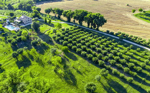 Casa Sant'Elia 7+3: Landscape, Rural Area, Plain, Land Lot, Agriculture, Plantation, Field, Hill Station, Meadow, Farm