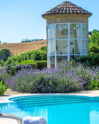 Casa Sant'Elia 7+3: Blue, Flower, Shrub, Garden, Landscaping, Swimming Pool, Yard, Lawn, Backyard, Eco Hotel