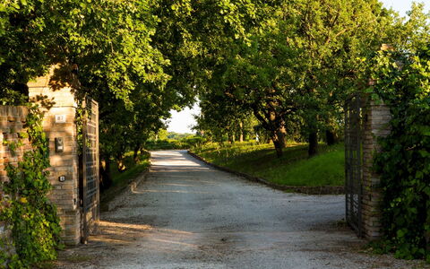 Casa Eugenia 8: Leaf, Green, Nature, Tree, Branch, Vegetation, Road Surface, Road, Shrub
