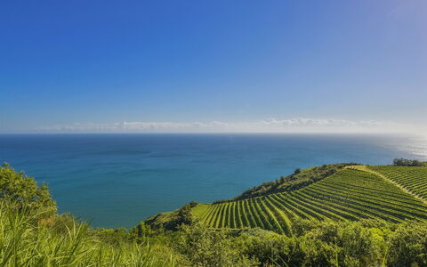 Casa Eugenia 8: Blue, Water, Green, Horizon, Sea, Coastal And Oceanic Landforms, Ocean, Coast, Sunlight, Shore