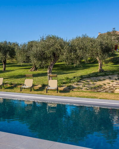 Casa Eugenia 8: Blue, Swimming Pool, Garden, Estate, Landscaping, Villa, Hacienda