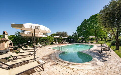 Sangiovese 14: Outdoor Furniture, Swimming Pool, Resort, Garden, Landscaping, Shade, Sunlounger, Outdoor Table, Yard, Estate