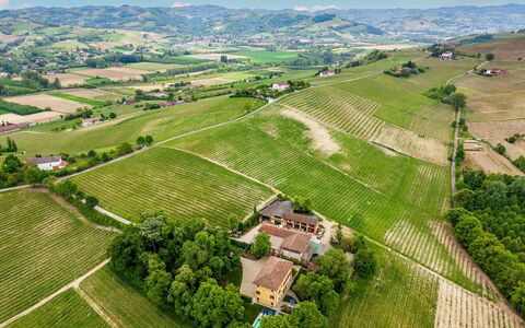 Tenuta Schiavon Barrero 12: Agriculture, Plain, Landscape, Field, Plantation, Bird'S-Eye View, Rural Area, Land Lot, Human Settlement, Aerial Photography