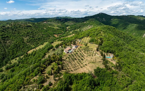 Tenuta Santa Cristina 10: Natural Environment, Nature, Vegetation, Natural Landscape, Landscape, Highland, Hill Station, Rural Area, Bird'S-Eye View, Forest