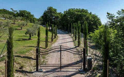 Villa Mamon 6+2: Shrub, Gate, Fence, Garden, Trail, Landscaping, Walkway, Home Fencing, Driveway, Park