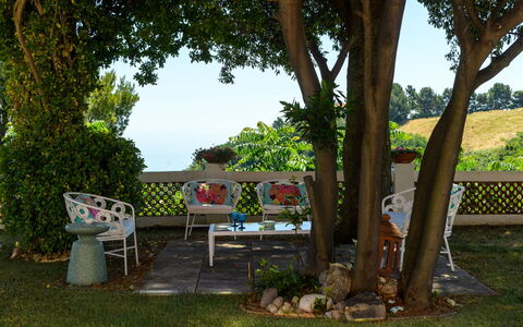 Villa Fiola 8: Green, Furniture, Garden, Summer, Shrub, Outdoor Furniture, Lawn, Spring, Shade
