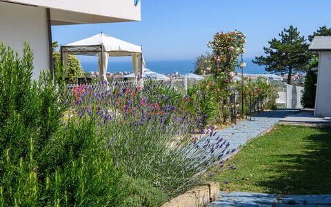 Villa Alma 8+2: Flower, Shrub, Garden, Landscaping, Shade, Yard, Botanical Garden, Walkway
