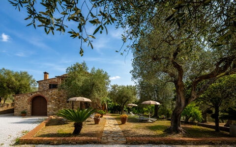 Casale le Lupe Apartments: Garden, Estate, Hacienda, Landscaping, Farmhouse, Yard, Villa, Shade, Backyard, Driveway