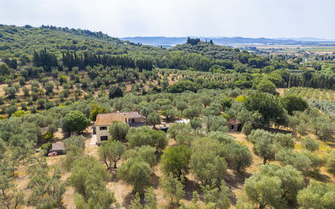 Casale le Lupe Apartments: Tree, Vegetation, Landscape, Rural Area, Plant Community, Land Lot, Grassland, Plain, Plantation, Field