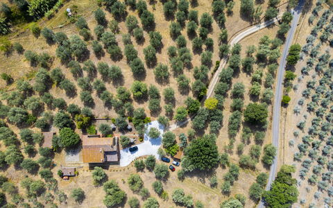 Casale le Lupe Apartments: Tree, Landscape, Rural Area, Land Lot, Bird'S-Eye View, Plantation, Aerial Photography, Village, Landscaping, Farm