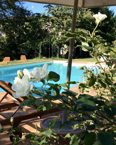La Cenerara: Property, Flower, Plant, Real Estate, Botany, House, Swimming Pool, Tree, Home, Villa