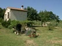 Accommodation:&nbsp;Zi'momo