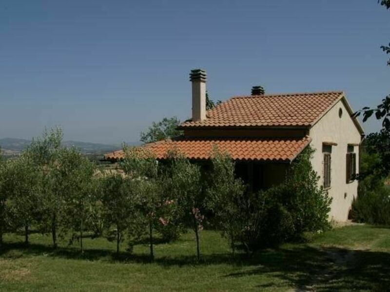 Accommodation:&nbsp;Zi'momo