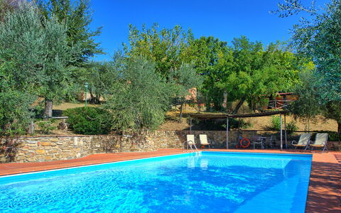 La Selva: Swimming Pool, Property, Natural Landscape, Real Estate, Leisure, Tree, Home, Estate, House, Backyard