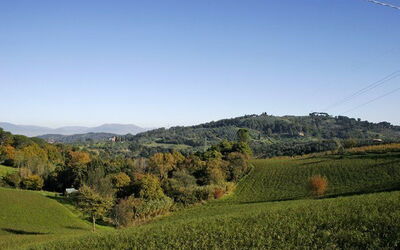 La Selva