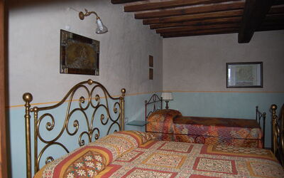 Accommodation:&nbsp;Vitis