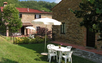 Fattoria Il Monte