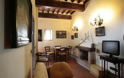 Accommodation:&nbsp;Primula