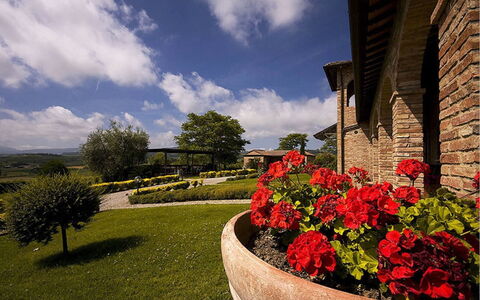 Sanguineto: Flower, Cloud, Plant, Sky, Property, Building, Window, Botany, Leaf, Vegetation