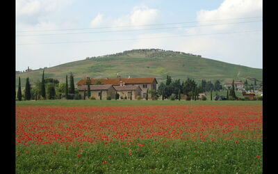Accommodation:&nbsp;Gallo