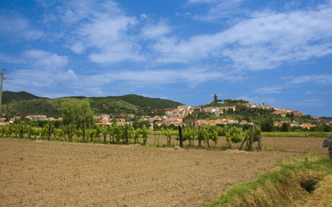 Pozzonovo: Mountainous Landforms, Hill, Mountain, Highland, Horizon, Landscape, Grassland, Rural Area, Agriculture, Hill Station