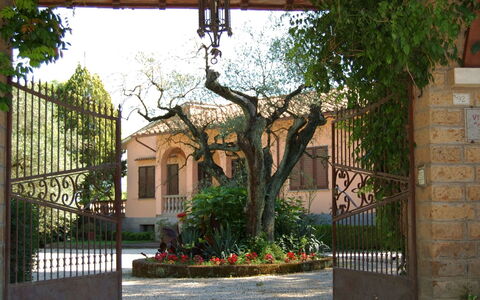 Casa Grion: Plant, Building, Property, Window, Leaf, Sky, Shade, House, Tree, Fence