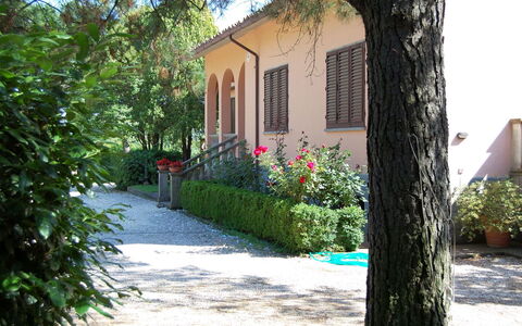 Casa Grion: Plant, Building, Window, Azure, Road Surface, House, Vegetation, Tree, Door, Neighbourhood