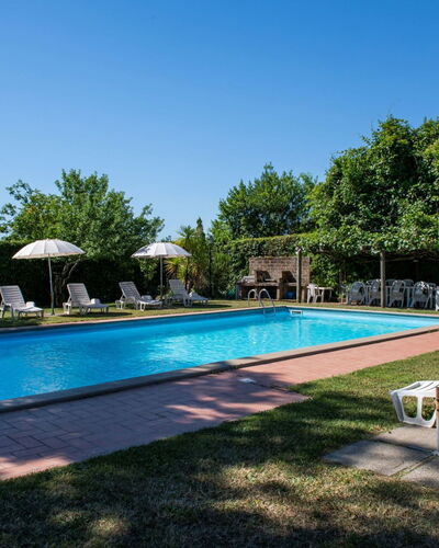 Casa Grion: Tree, Landscape, Land Lot, Rural Area, Park