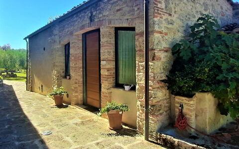 Pieve di Sant Ippolito: Plant, Building, Green, Sky, Flowerpot, Door, Window, Land Lot, Houseplant, Wall