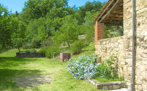 Casa Rossa: Shrub, Garden, Plant Community, Rural Area, Groundcover, Stone Wall, Spring, Backyard, Brick