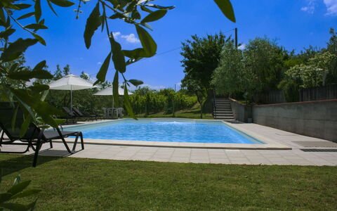 Podere San Bono: Swimming Pool, Outdoor Furniture, Resort, Shade, Garden, Eco Hotel, Landscaping, Backyard, Sunlounger, Estate