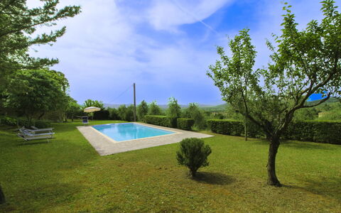 Olivo: Grass, House, Home, Rural Area, Cottage, Farmhouse, Estate, Meadow, Lawn, Landscaping