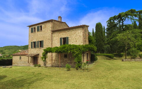Olivo: Grass, House, Home, Rural Area, Cottage, Farmhouse, Estate, Meadow, Lawn, Landscaping